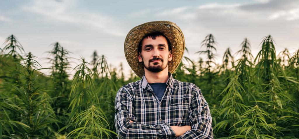 Green-Badger | Marijuana Farmer