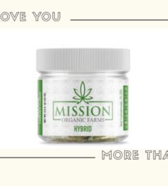 Mission Organic