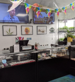 Modesto Cannabis Collective