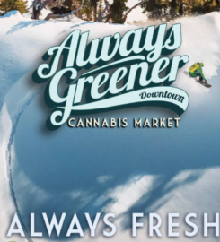 Always Greener Recreational Marijuana Dispensary Redmond