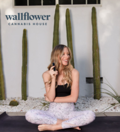 Wallflower Cannabis House Weed Dispensary Las Vegas