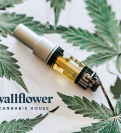 Wallflower Cannabis House Weed Dispensary Las Vegas