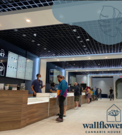 Wallflower Cannabis House Weed Dispensary Las Vegas