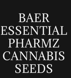 Baer Essential Pharmz