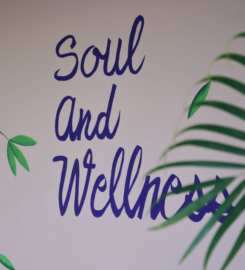 Soul and Wellness